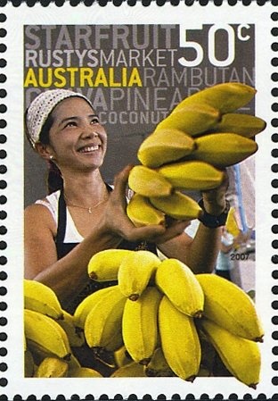 Tasmanian Blue Gum (Eucaluptus globulus)