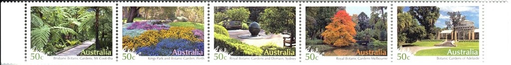 Bull Ant (Mymecia sp.)