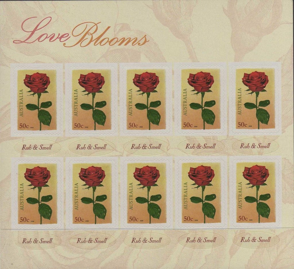 Common Bottlenose Dolphin (Tursiops truncatus)