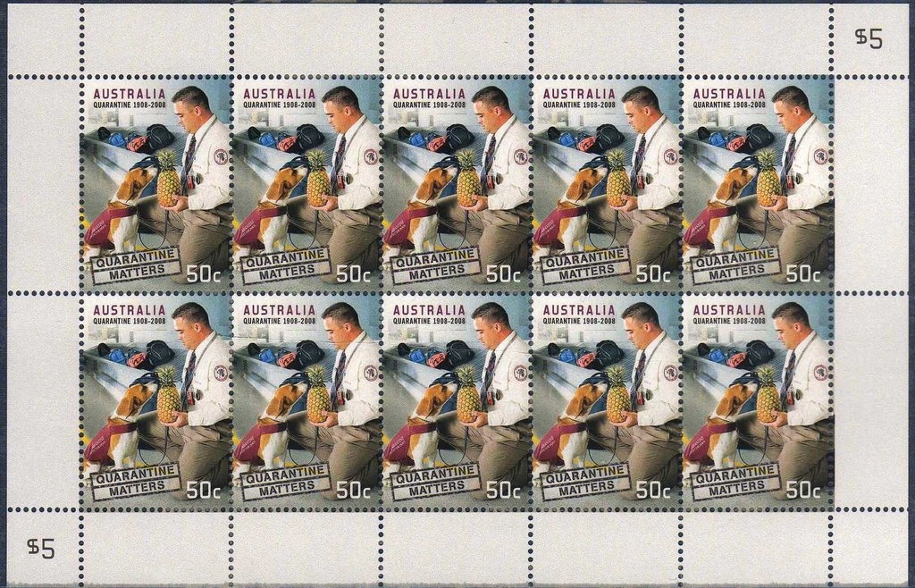 Basketball Player in Wheelchair