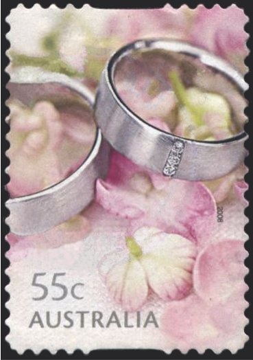 Pug (Canis lupus familiaris)