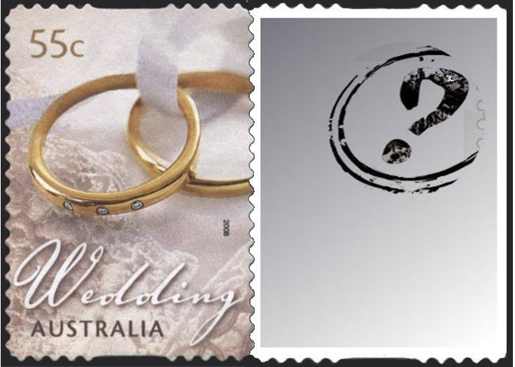 AAT Subantarctic Fur Seal (Arctocephalus tropicalis)