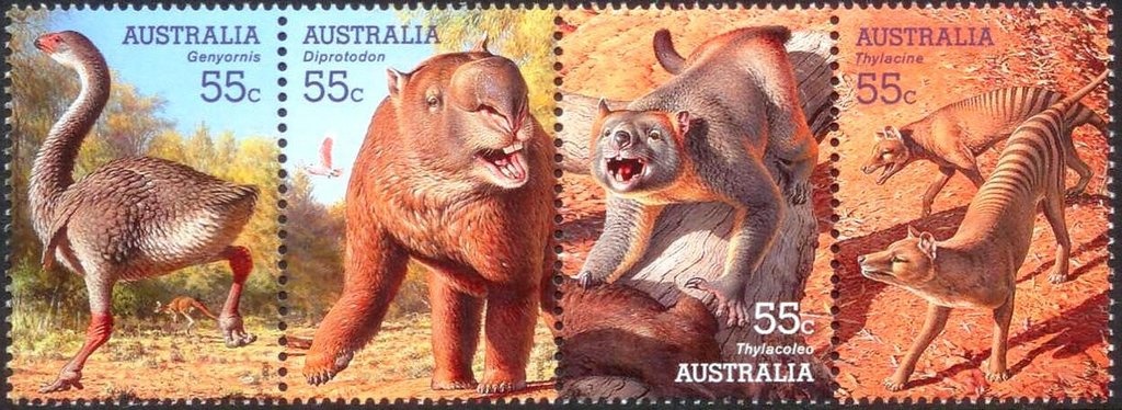 Tasman Island, TAS, 1906