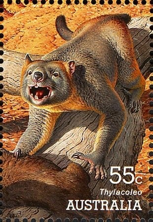 Tennis Player in Wheelchair