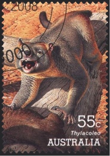 Victorious Australian Cricketers