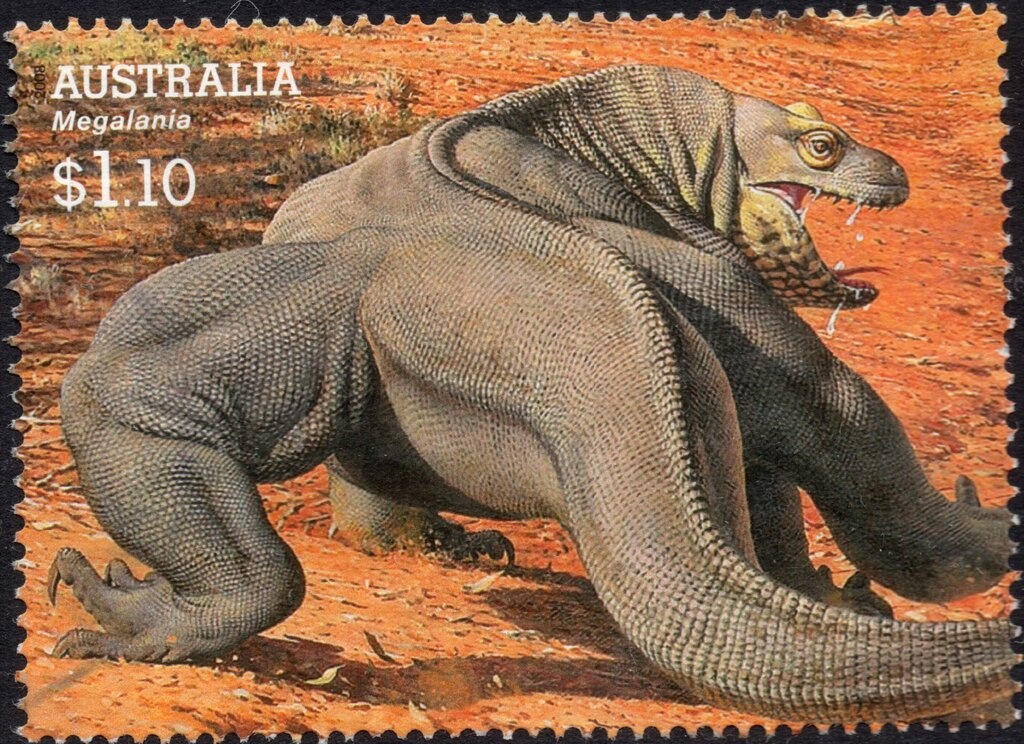 Mount Warning, Gondwana Rainforests