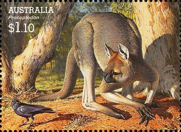 Australian Rules Football