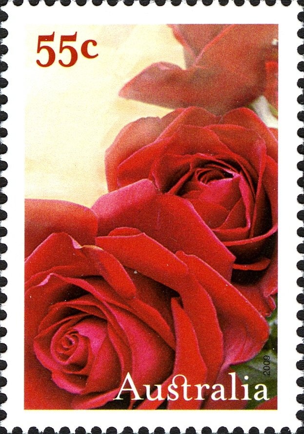 Racecam TV Sports Coverage, 1979