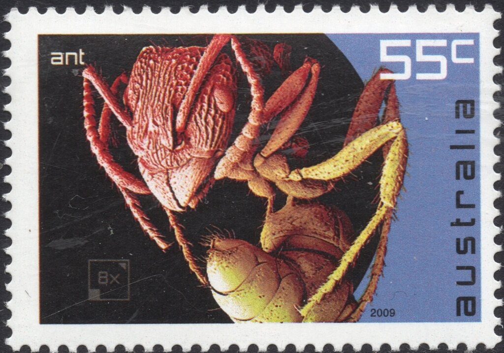 Prince George opening the First Parliament, Tom Roberts