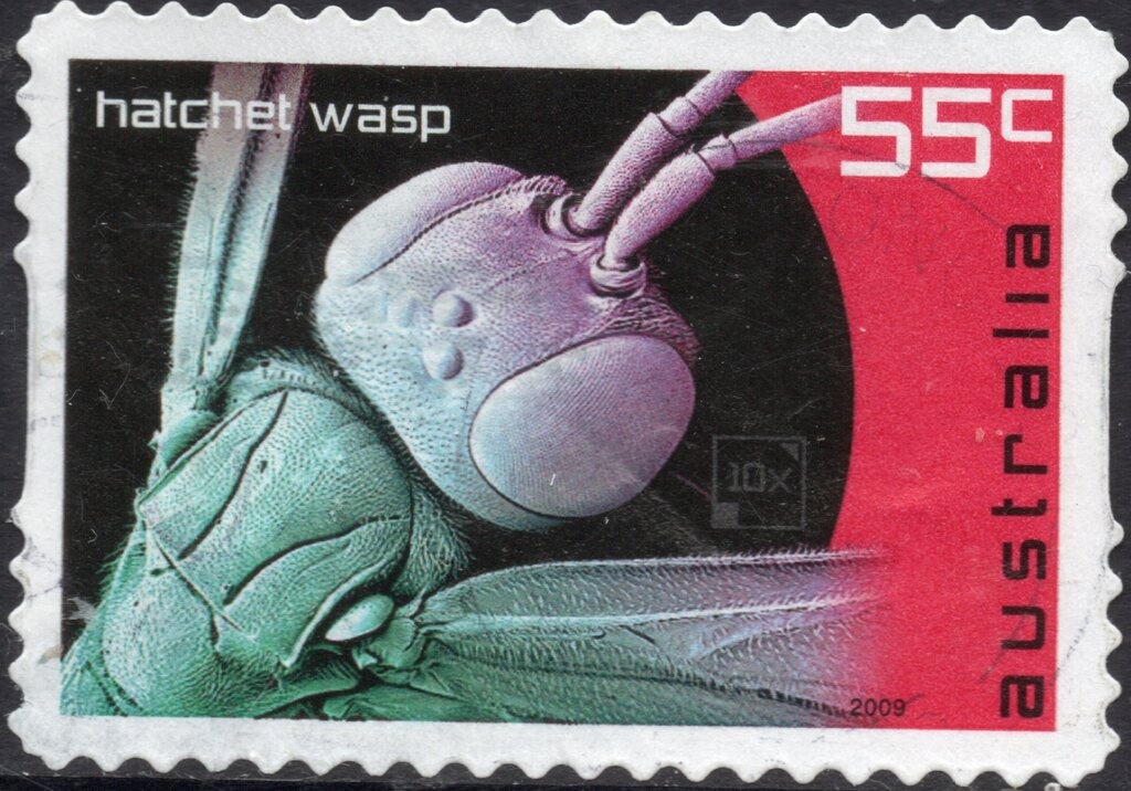 Galarrwuy Yunupingu, AM