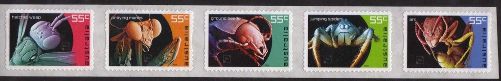 Surfer on Crest of Wave