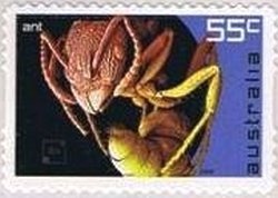 Desserts - Peach Melba - Dame Nellie Melba