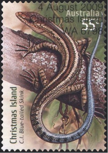 Drilling at Burn's Creek