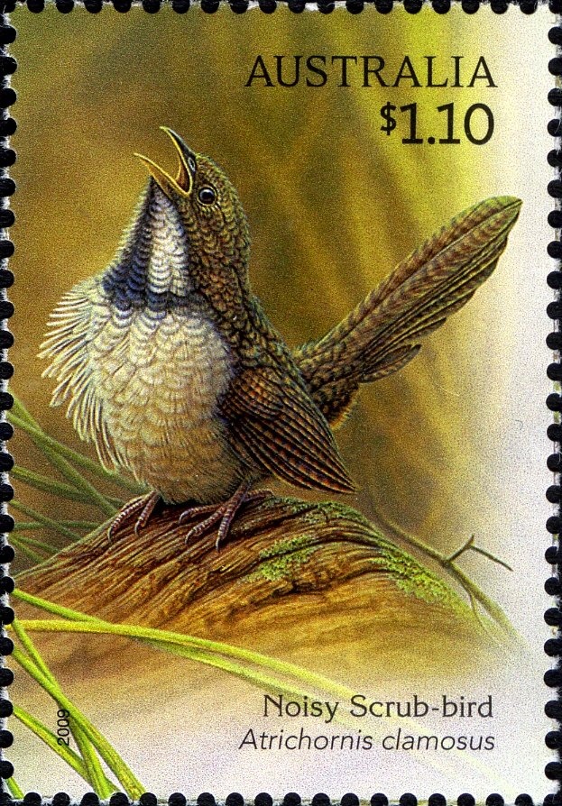 Surfer on Crest of Wave