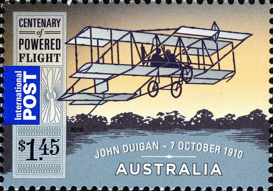 Red Kangaroo (Osphranter rufus)