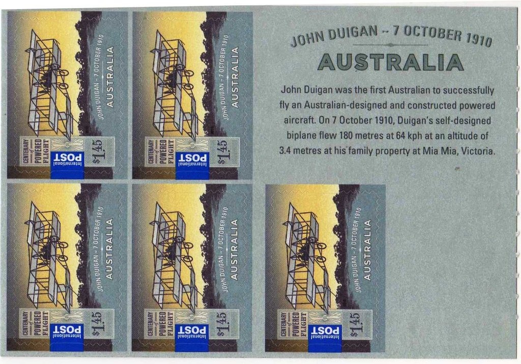 Western Australian Chromodoris (Chromodoris westraliensis)