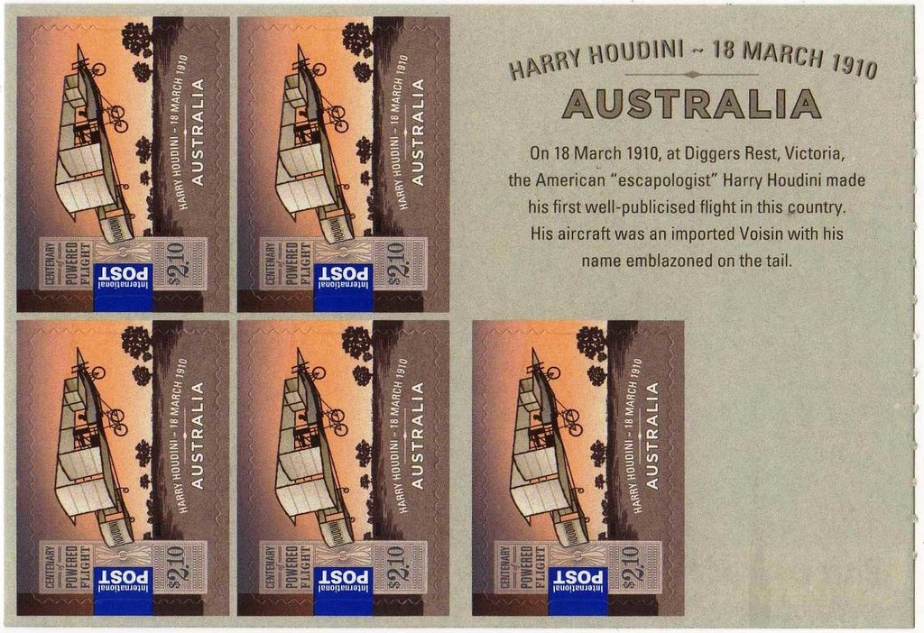 Golden Rock Orchid (Dockrillia striolata ssp.chrysantha)