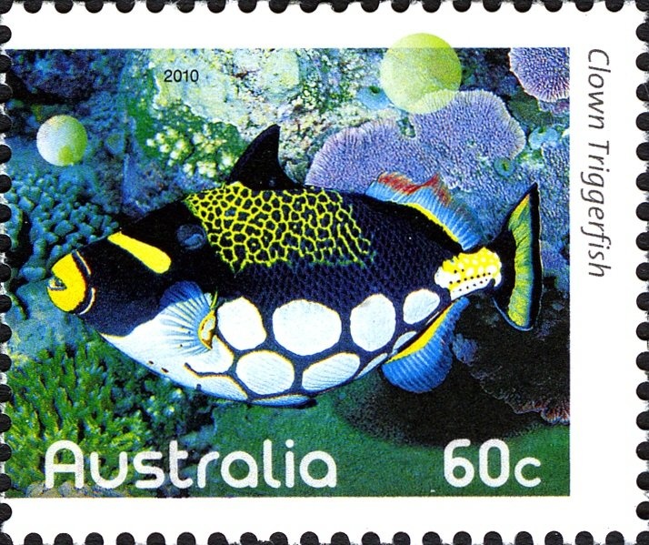 Cross-country - Emma Scott, Australia on Mustang