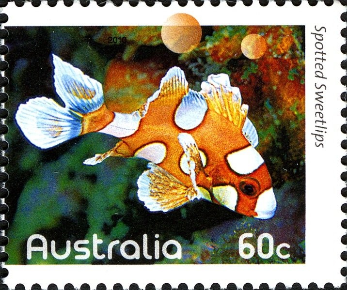 Kimberley Brennan Women's Single Sculls