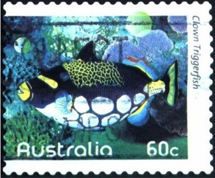 The Pink Poodle Motel, Surfers Paradise, Qld