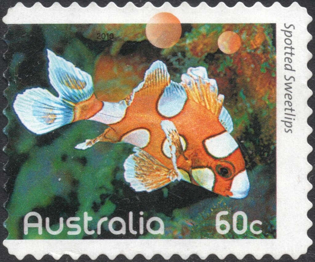 Jesus in the Manger with Mary