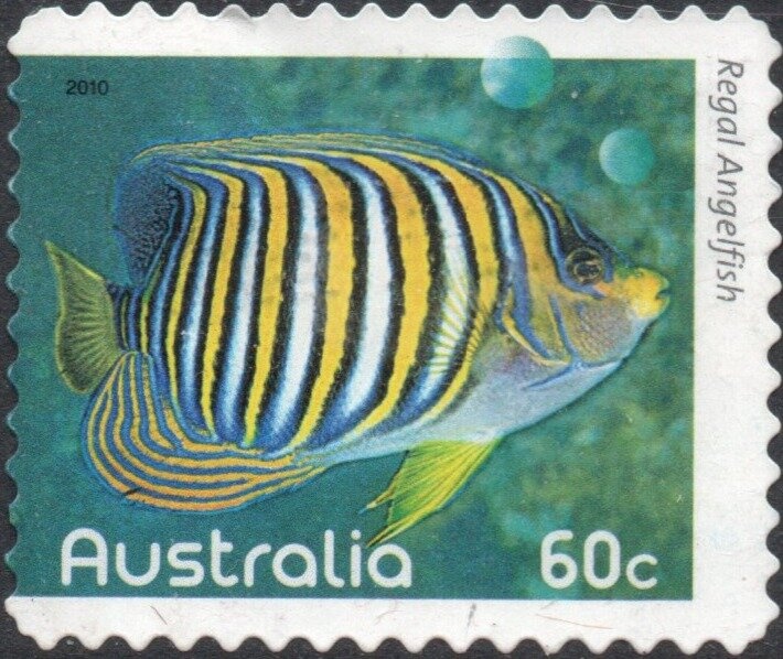 Champagne Glasses 2016