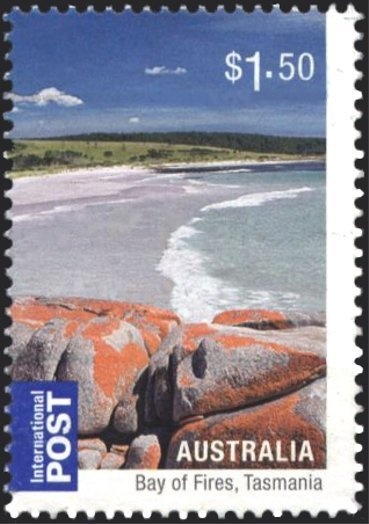 “Hari Withers” Camellia 1985