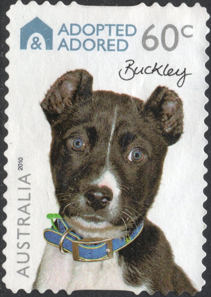 Ice Chest and Modern Refrigerator