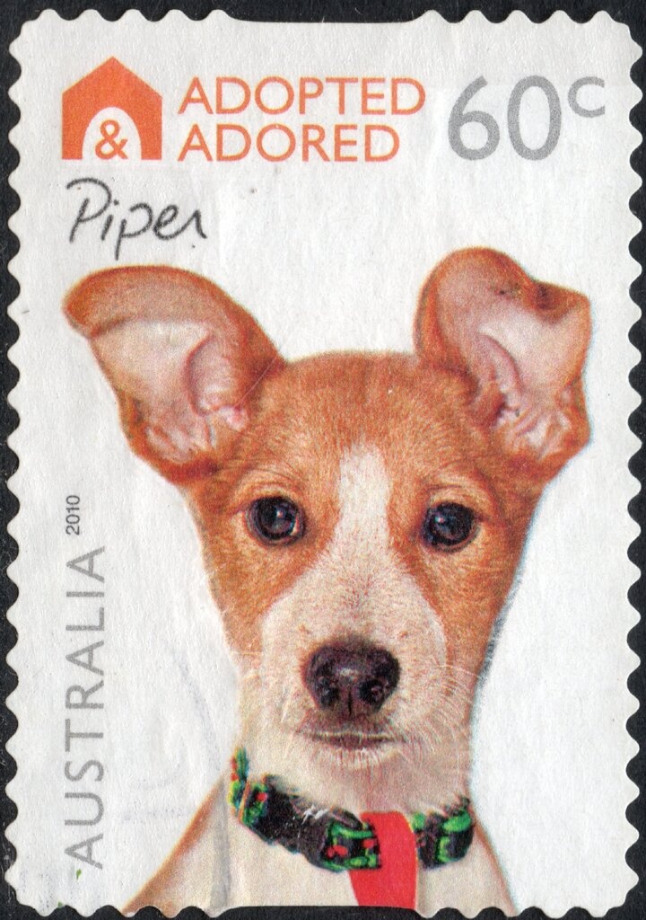 Girl, Joy Hester (1957)