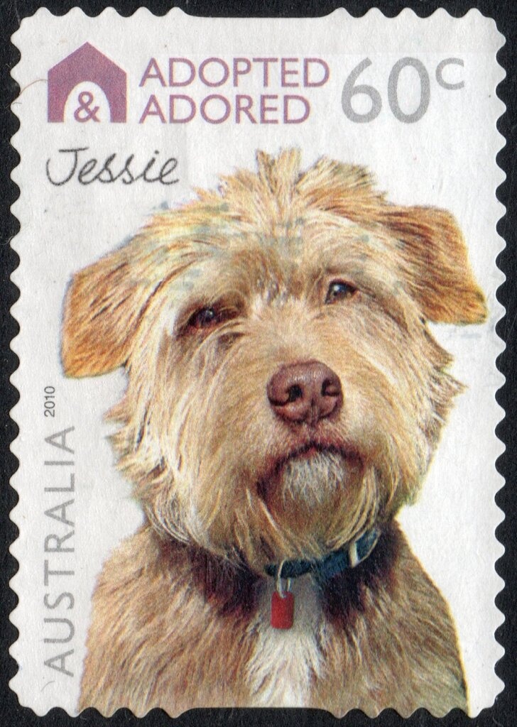 Arrival on the Western Front