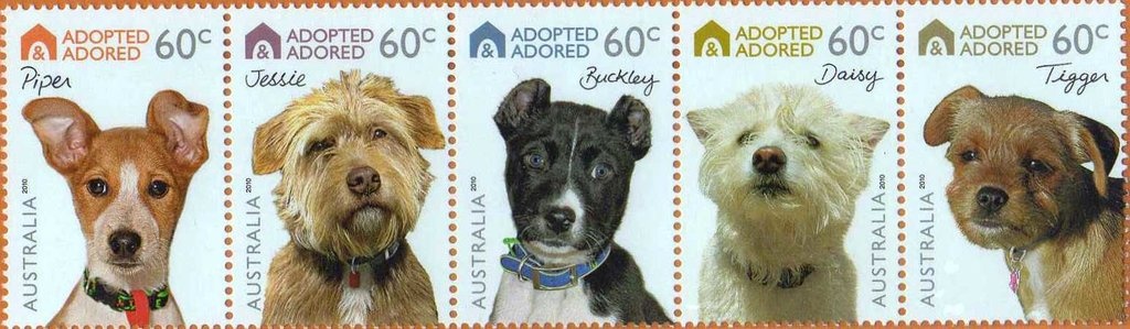 SCM: Australian Zoos - Saltwater Crocodile/Wedge-tailedEagle