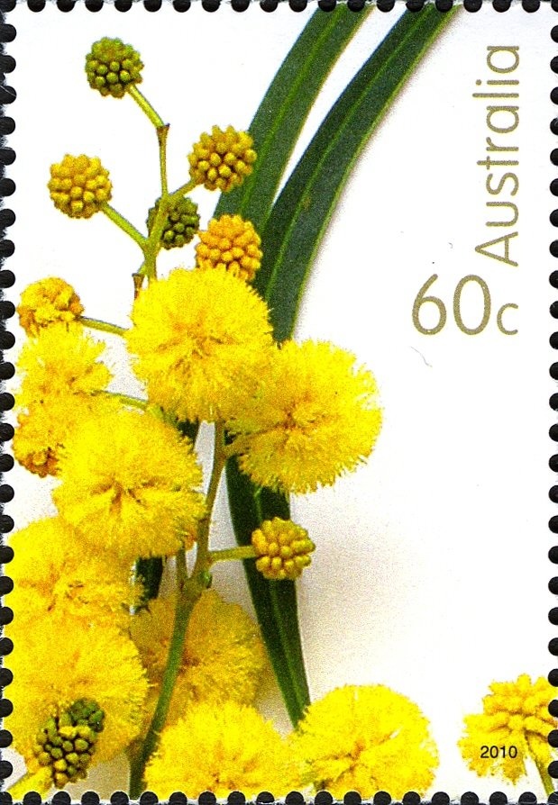 Grant Hackett 1500m Freestyle