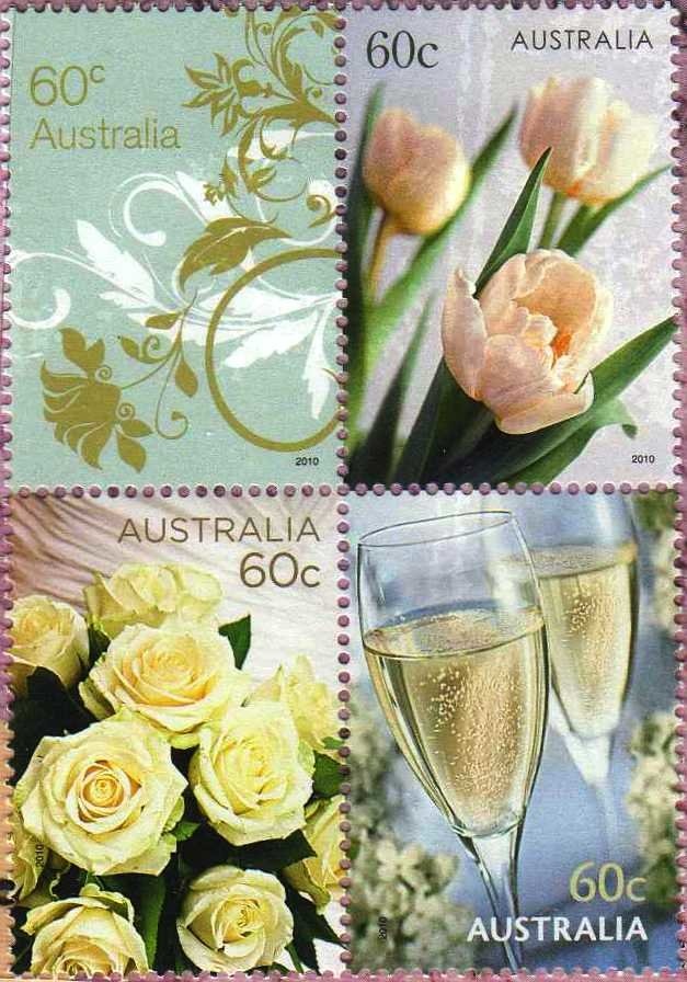 Sooty Owl (Tyto tenebricosa)