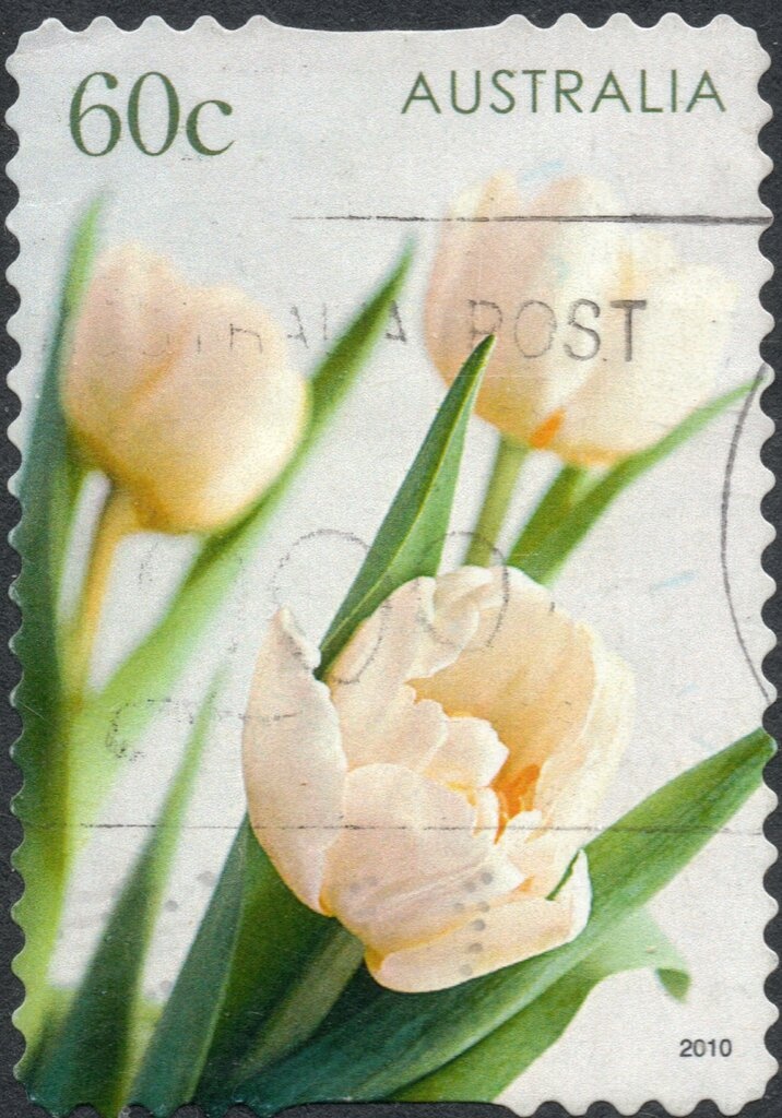 Veterans Marching, from m/s