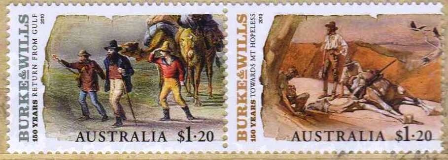 Double-barred Finch (Taeniopygia bichenovii)