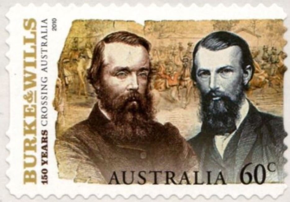 Star Finch (Neochmia ruficauda)