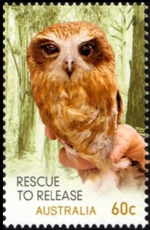 Scarlet Percher/Arrowhead Rockmaster