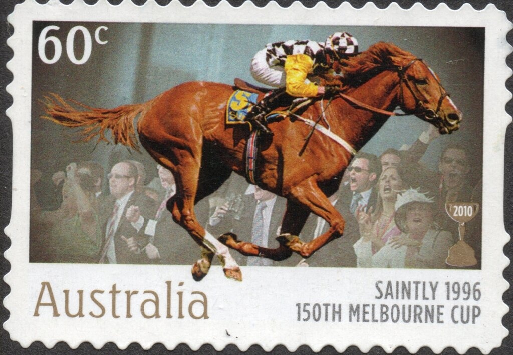 Tasmanian Devil (Sarcophilus harrisii)