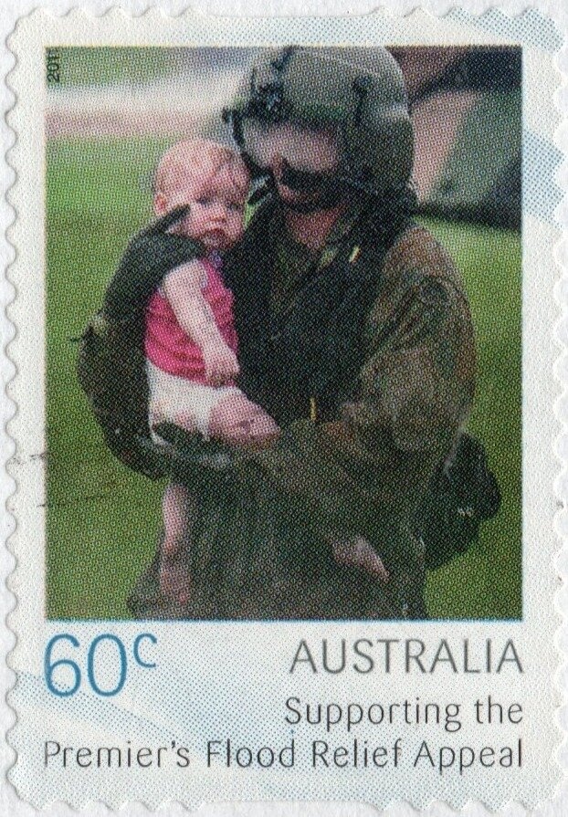 Plumed Whistling Duck (Dendrocygna eytoni)
