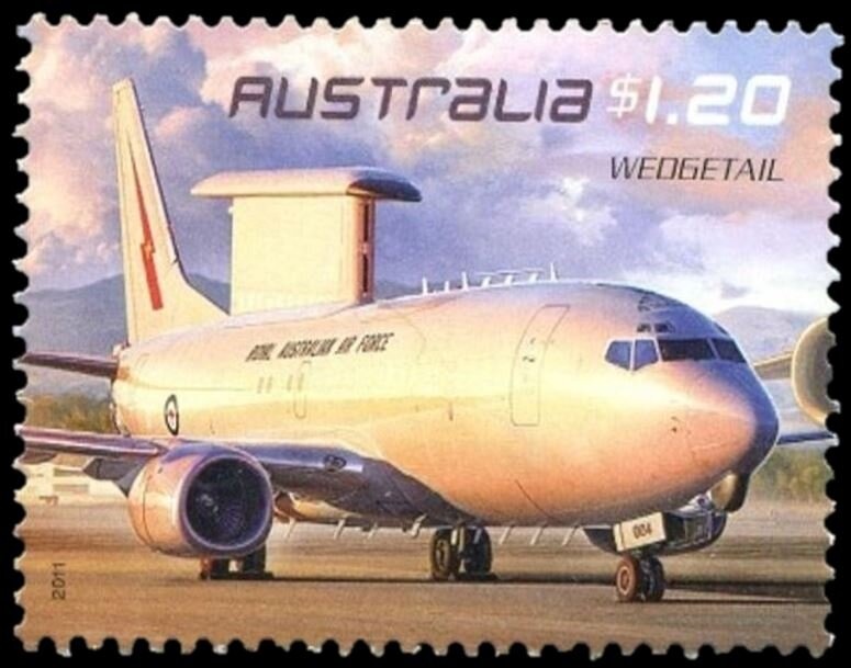 Red Kangaroo (Osphranter rufus)