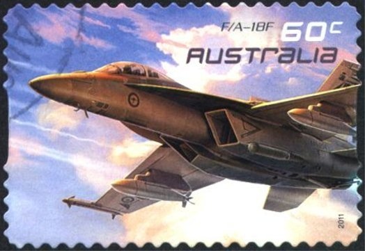 Little Penguin (Eudyptula minor)