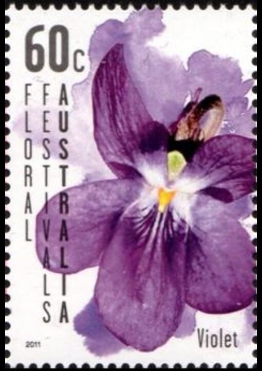 Zinc Cream and Speedos