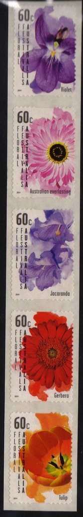 Ambulance Service Emblem