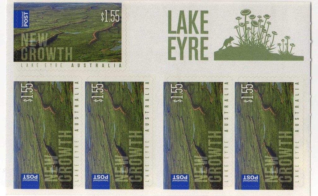 Miniature Dachshund (Canis lupus familiaris)