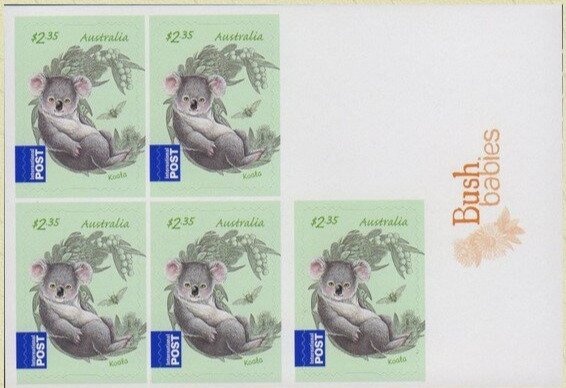 Koala (Phascolarctos cinereus)