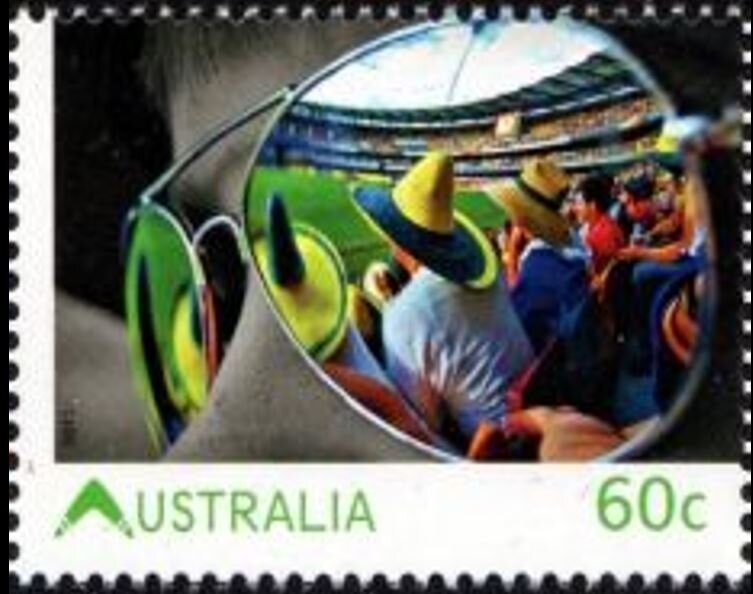 Moreton Bay Fig (Ficus macrophylla)