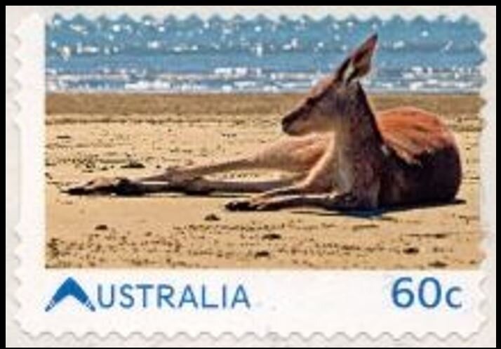 50th Anniversary of Amnesty International