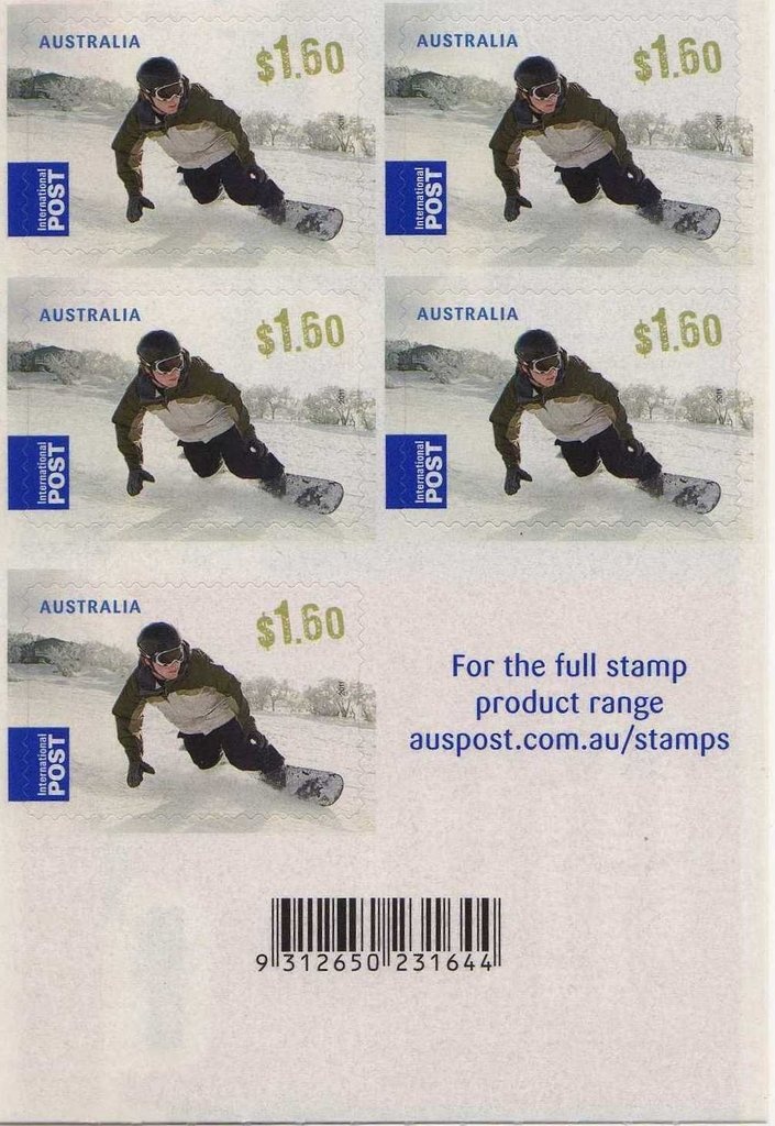 Koala (Phascolarctos cinereus)