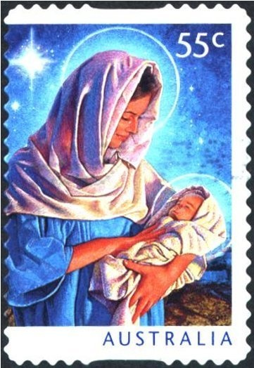 Lemon-Scented Gum Tree (Corymbia citriodora)