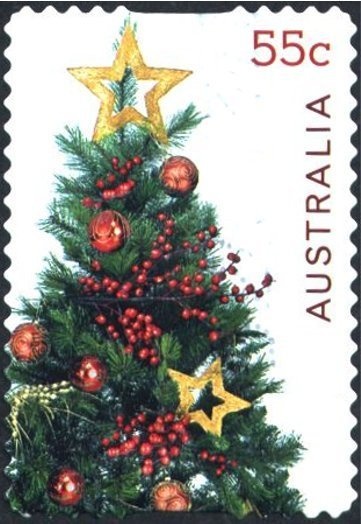 Sturt's Desert Rose (Gossypium sturtianum)